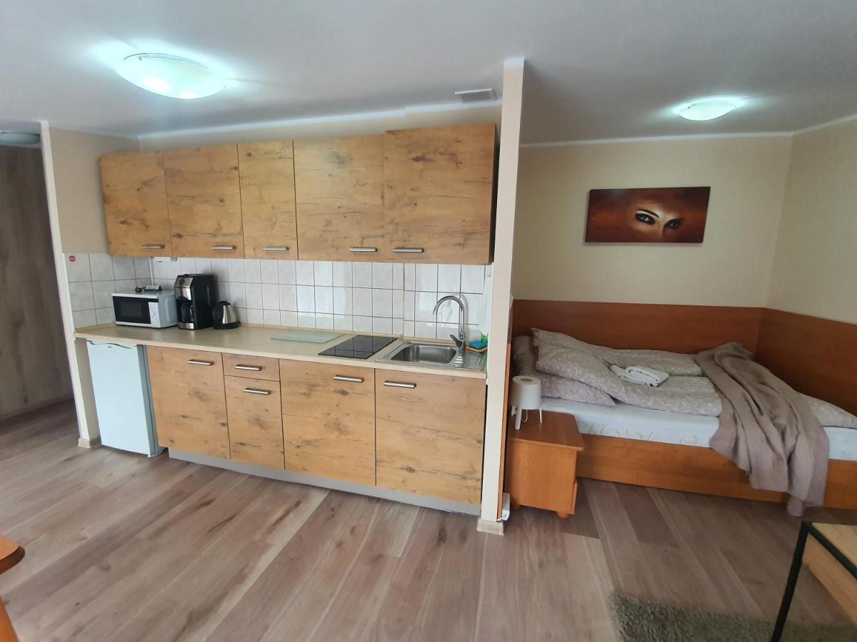 Aparthouse Apartamenty Centrum - In The City Center Near The Train Station Katowice Luaran gambar